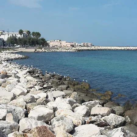 Апартаменты Casa Westerhout *