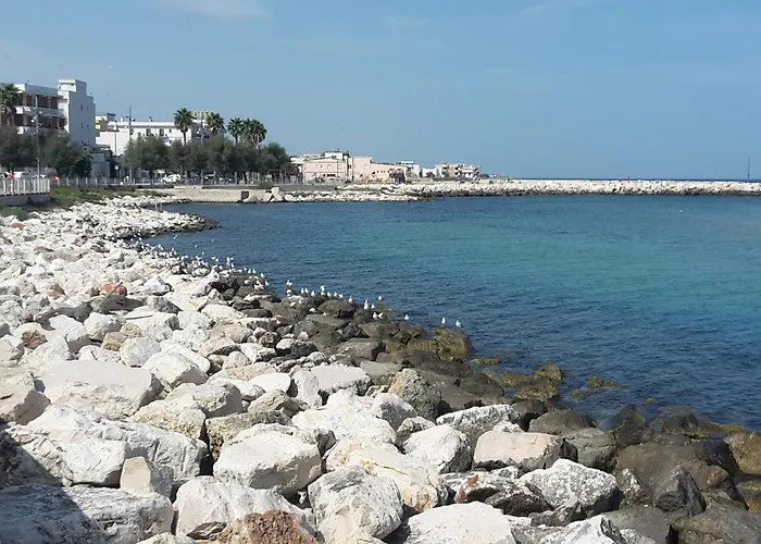 Apartmán Casa Westerhout *